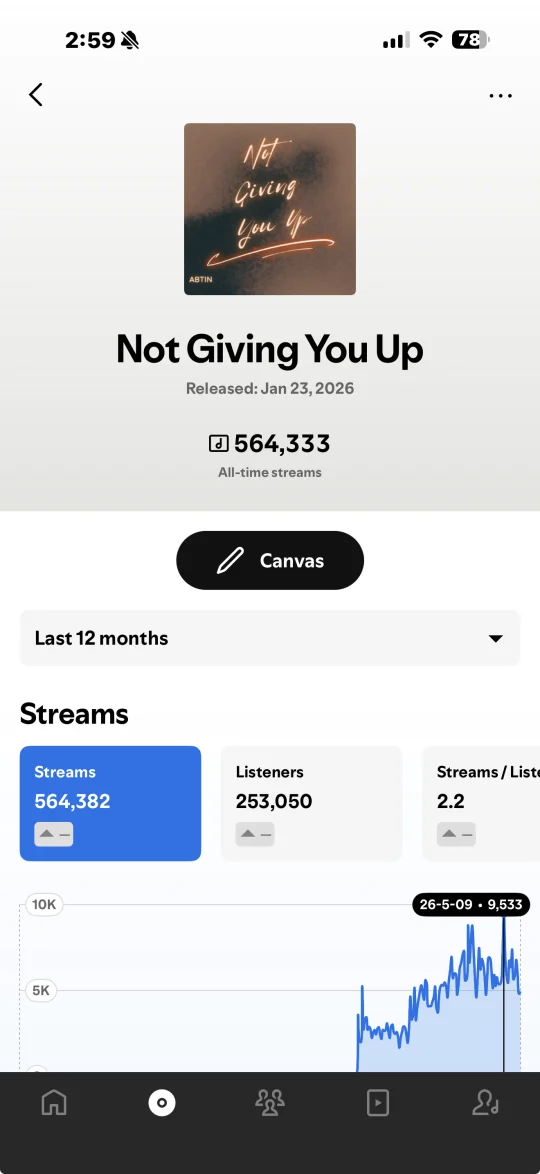 Music Ads campaign result — Actin (Not Giving You Up) by ABTIN