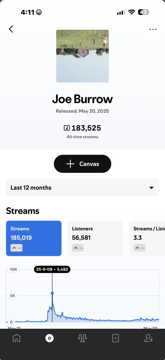 Music Ads campaign result — Joe Burrow by Nick Pape