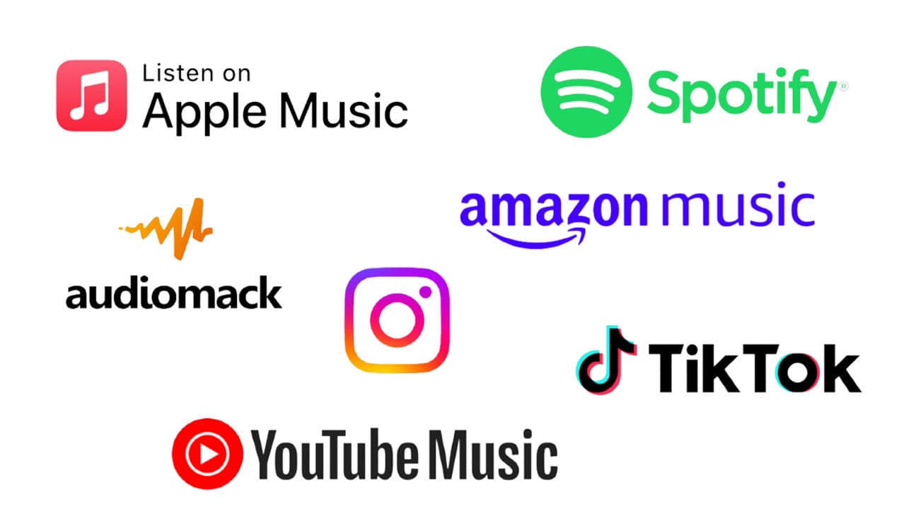 Social + Music Streaming Platforms
