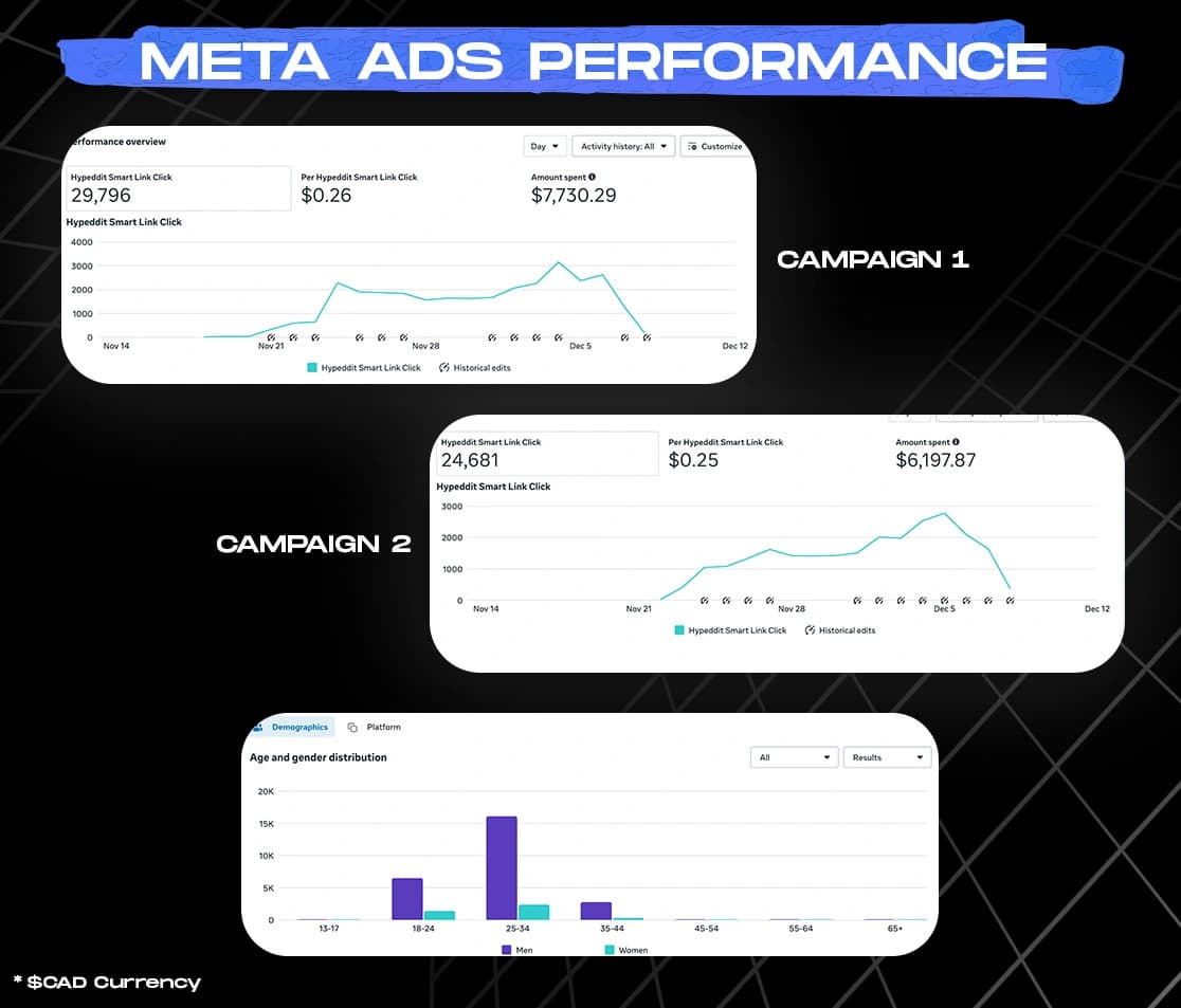 Meta Ads performance showing Campaign 1 and Campaign 2 results with demographics